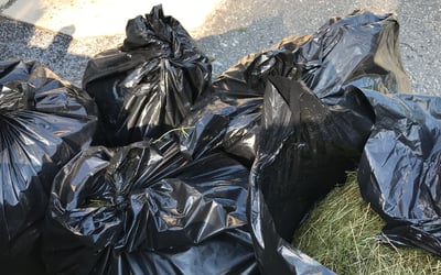Photo of Ryan T.'s yard after getting landscaping in Quakertown, PA