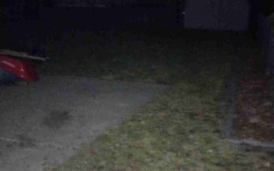 Photo of Matt S.'s yard after getting landscaping in Rush City, MN