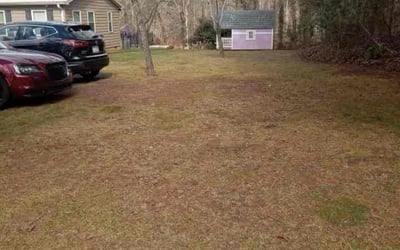 Photo of Demeka G.'s yard after getting landscaping in Marshville, NC