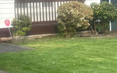 Photo of Sophia M.'s yard after getting landscaping in Lake Stevens, WA