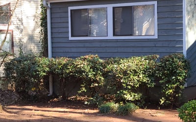 Photo of Joyce W.'s yard after getting landscaping in Monticello, GA