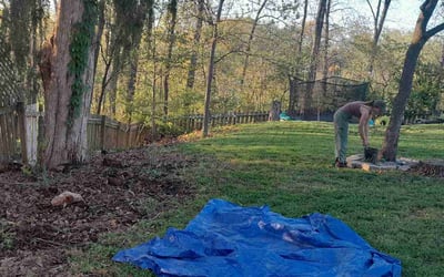 Photo of Judith C.'s yard after getting landscaping in Imperial, MO