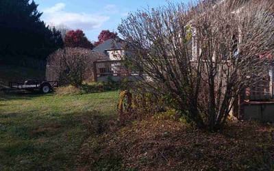 Photo of Robbin A.'s yard after getting tree care in Frederick, MD