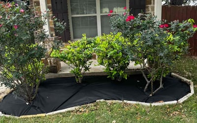 Photo of Amanda B.'s yard after getting landscaping in Boerne, TX