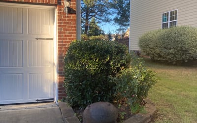 Photo of William R.'s yard after getting tree care in Clayton, NC