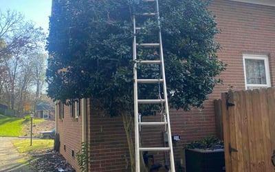 Photo of Joyce M.'s yard after getting landscaping in Mount Pleasant, NC