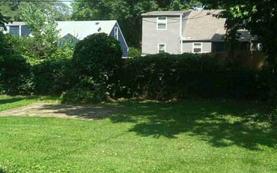 Photo of Nellie M. M.'s yard after getting landscaping in Lexington, MO