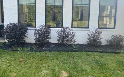 Photo of Bryena D.'s yard after getting tree care in Clover, SC