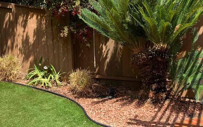 Photo of Todd A.'s yard after getting landscaping in Bonsall, CA