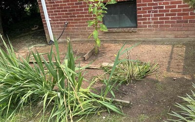 Photo of Sarah A.'s yard after getting landscaping in Brunswick, MD