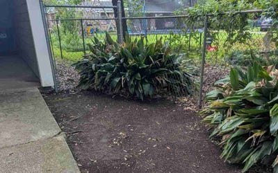 Photo of Michael H.'s yard after getting landscaping in Lafayette, LA