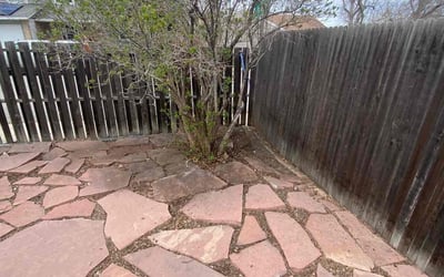Photo of Sean K.'s yard after getting landscaping in Como, CO