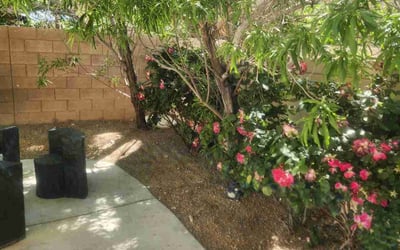 Photo of Christopher S.'s yard after getting landscaping in Overton, NV