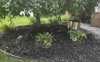 Photo of Alexa D.'s yard after getting landscaping in Zeeland, MI