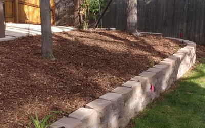 Photo of Mark B.'s yard after getting landscaping in Hartsel, CO