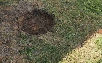 Photo of Wanda J.'s yard after getting landscaping in Pooler, GA