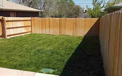 Photo of Melanie H.'s yard after getting landscaping in Denver, CO
