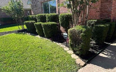 Photo of Nick P.'s yard after getting landscaping in North Richland Hills, TX