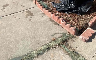 Photo of Kevin S.'s yard after getting landscaping in Chandler, OK