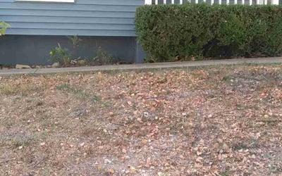 Photo of Kathy M.'s yard after getting landscaping in Concordia, MO