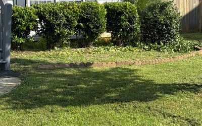 Photo of Deana G.'s yard after getting tree care in Bremen, GA