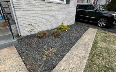 Photo of Morgan C.'s yard after getting landscaping in Silver Spring, MD