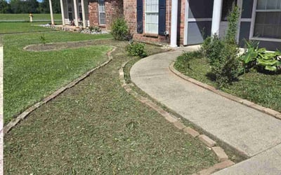 Photo of Harold R.'s yard after getting landscaping in New Iberia, LA