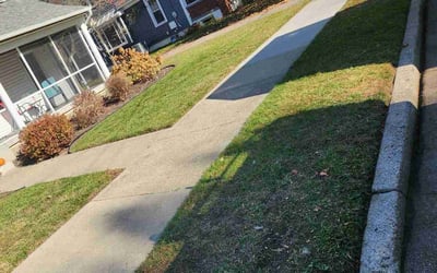 Photo of Linda M.'s yard after getting landscaping in Hudsonville, MI