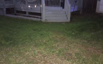 Photo of Alexandra S.'s yard after getting landscaping in Catawba, SC