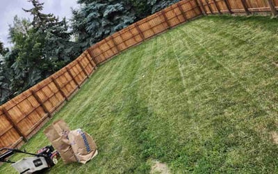Photo of Stephanie B.'s yard after getting landscaping in Summit Station, OH