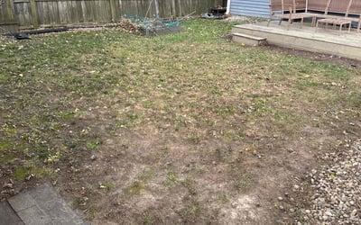 Photo of Kristen B.'s yard after getting landscaping in Greencastle, IN