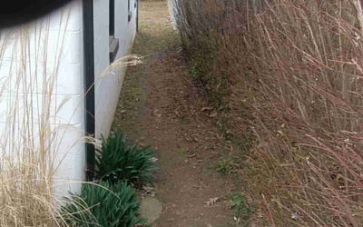 Photo of Hayley J.'s yard after getting landscaping in Prospect, KY