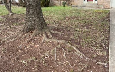 Photo of Steve B.'s yard after getting landscaping in Washington, VA