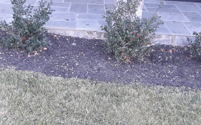 Photo of Richard H.'s yard after getting landscaping in Glen Echo, MD