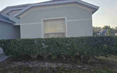 Photo of Katie W.'s yard after getting landscaping in Kissimmee, FL