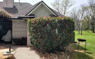 Photo of Hailey C.'s yard after getting landscaping in Clute, TX