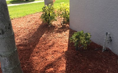 Photo of Ronald M.'s yard after getting landscaping in Ferndale, FL