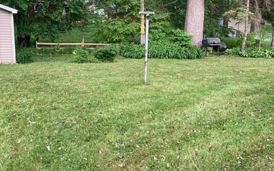 Photo of Jenny D.'s yard after getting landscaping in Jordan, MN