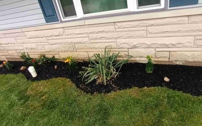 Photo of Linda R.'s yard after getting landscaping in Trafalgar, IN