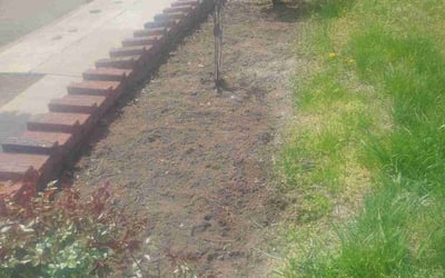 Photo of Sandra V.'s yard after getting landscaping in Philadelphia, PA