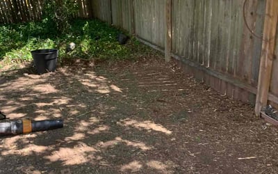 Photo of Travis A.'s yard after getting landscaping in Granger, TX