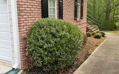 Photo of Robert M.'s yard after getting landscaping in Holly Springs, GA