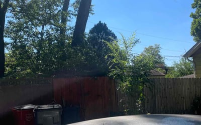 Photo of Mary A.'s yard after getting landscaping in Somerset, OH