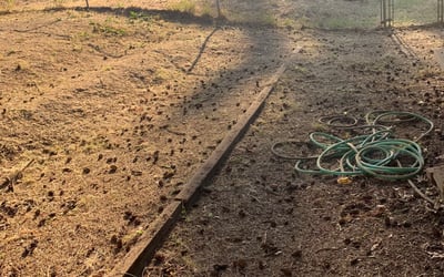 Photo of Jeff T.'s yard after getting landscaping in Mcminnville, OR