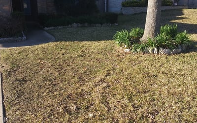 Photo of Sarah H.'s yard after getting landscaping in Mc Neil, TX