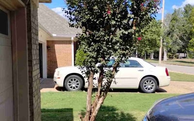 Photo of Lou C.'s yard after getting landscaping in Brighton, TN