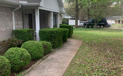 Photo of Robert R.'s yard after getting landscaping in Harvest, AL