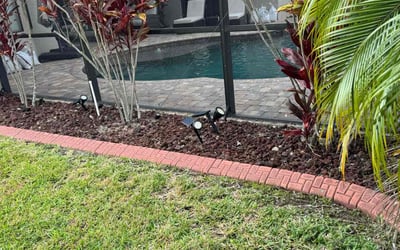 Photo of Tom S.'s yard after getting landscaping in Zephyrhills, FL