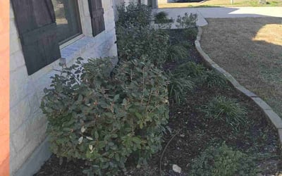 Photo of Paul M.'s yard after getting landscaping in Floresville, TX