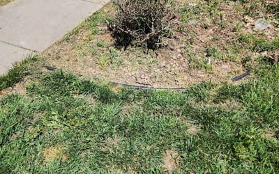 Photo of Troy R.'s yard after getting tree care in Omaha, NE